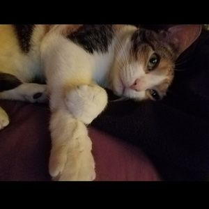 Meet your Posher, Gina